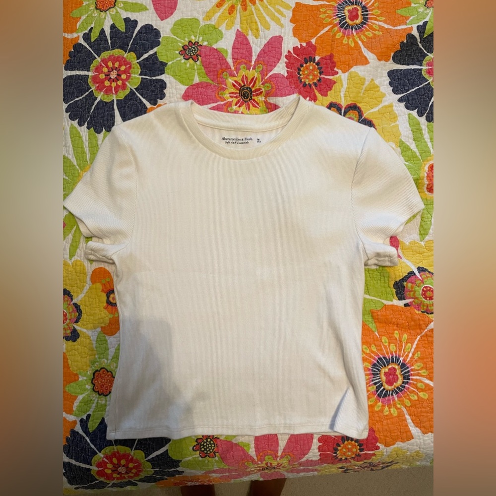 abercrombie and fitch tee